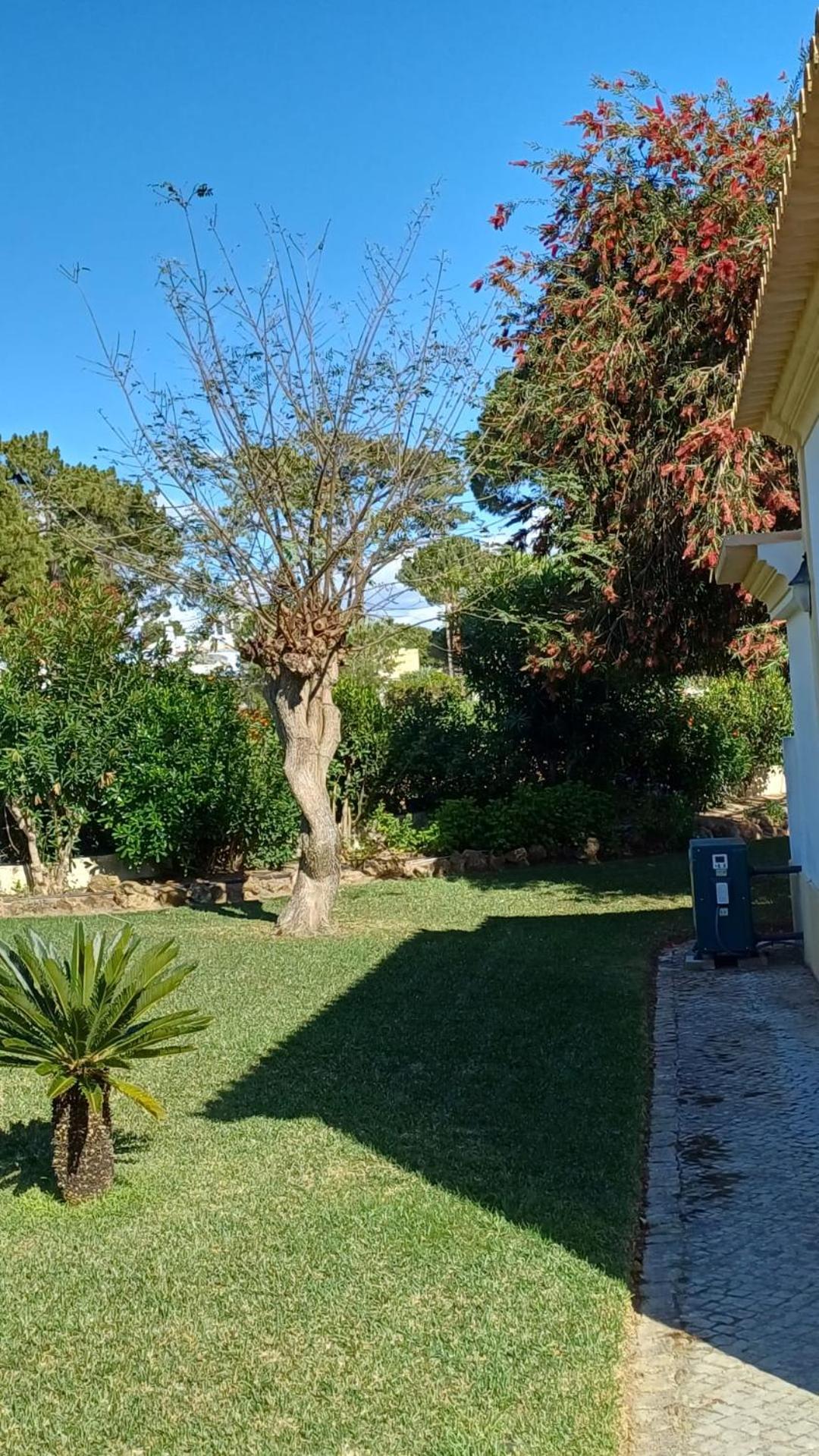 The Pinewood Villa Vilamoura Ngoại thất bức ảnh