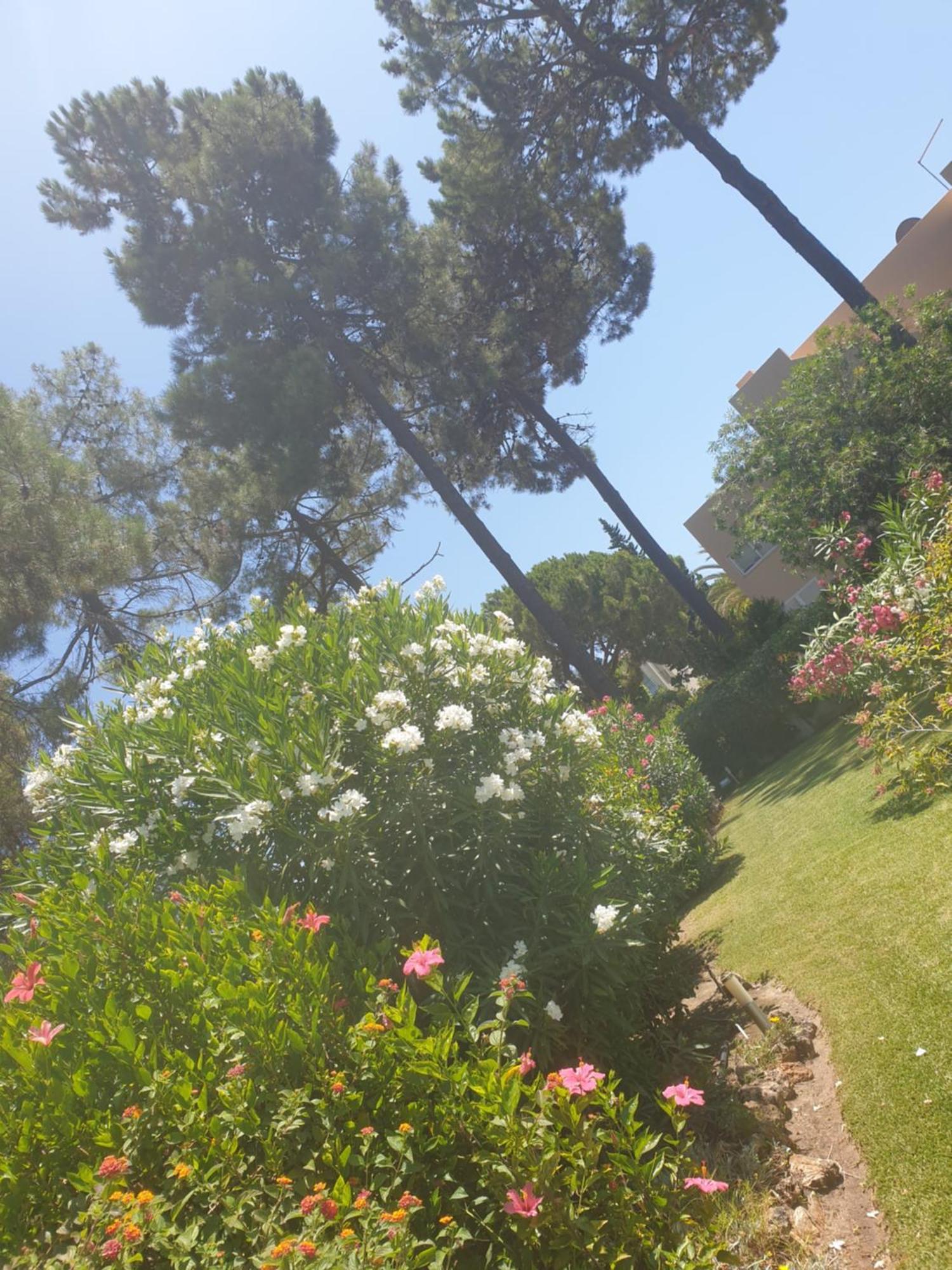 The Pinewood Villa Vilamoura Phòng bức ảnh